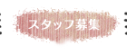 スタッフ紹介